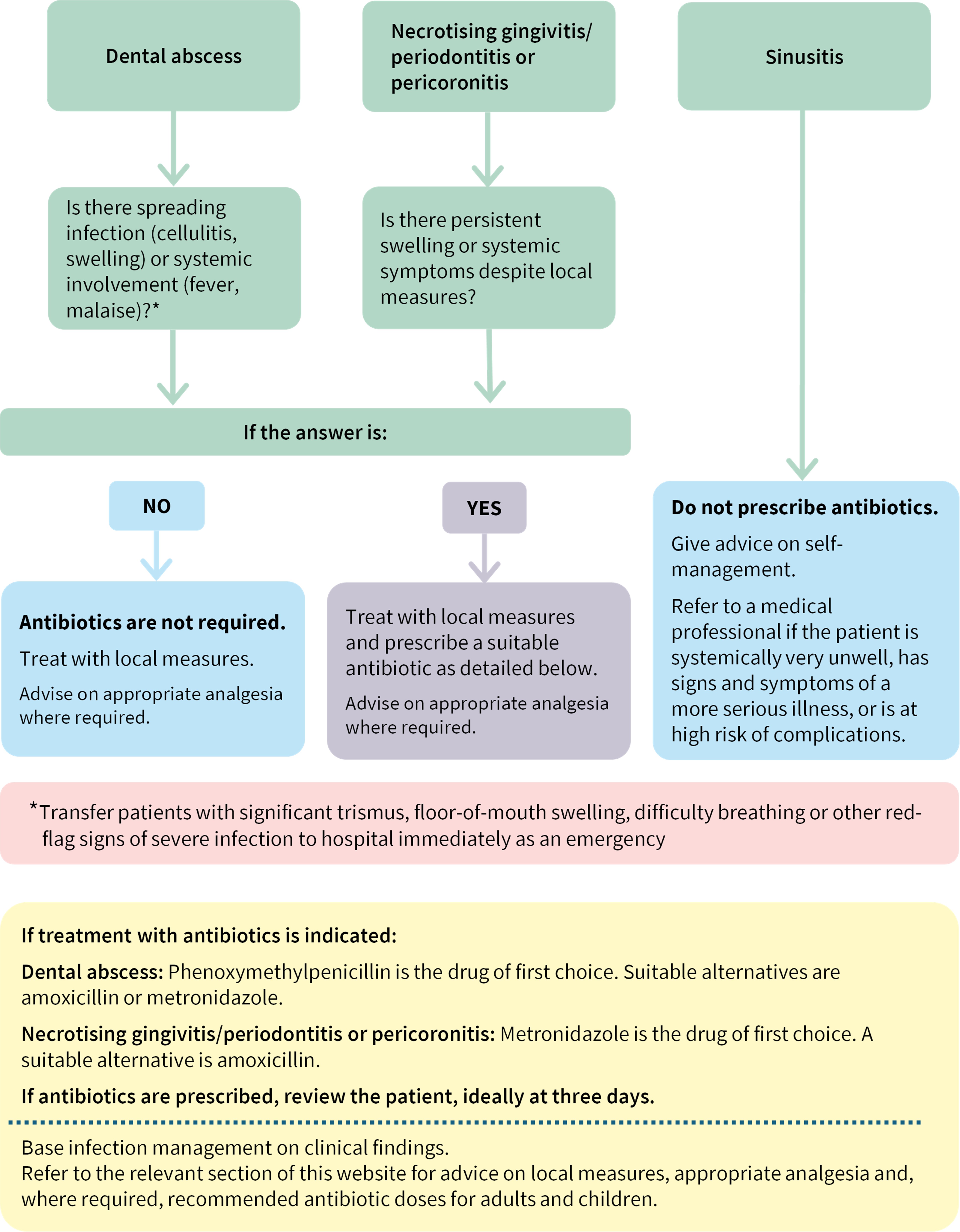 Image of a flowchart showing the management of a patient with an oral bacterial infection